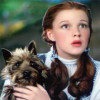 Work 2.0: Managing the New Career Paradigm emerald-dorothy-and-toto-pl