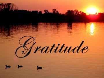 The Whys and Ways of Gratitude