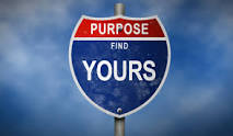 find purpose