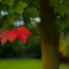 Six Ways to Beat the Back to September Blues Fall coming