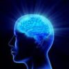 Primer: The Neuroscience of Distrust/ Trust in Conversation – Blame it on Your Brain! attentive brain