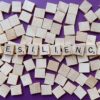 Resilience: The Fuel of the Future resilient-4899283__340 (Pixabay)