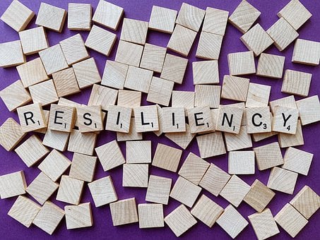 Resilience: The Fuel of the Future