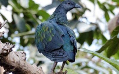 Finding Awe and Connection Even in the Mundane